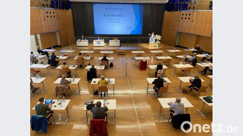 Der Bezirksausschuss des BLLV bei seinem Treffen im ACC in Amberg. Bild: exb