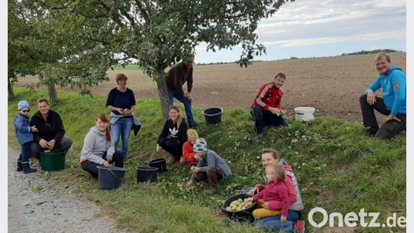 Gemeinsam mit ihren Helfern ernteten Projektmanagerin der Öko-Modellregion Naturparkland Oberpfälzer Wald, Cornelia Strigl (Fünfte von links), und Biodiversitätsmanager Johannes Weinberger (hinten, Dritter von rechts) die Äpfel. Bild: Johannes Weinberger
