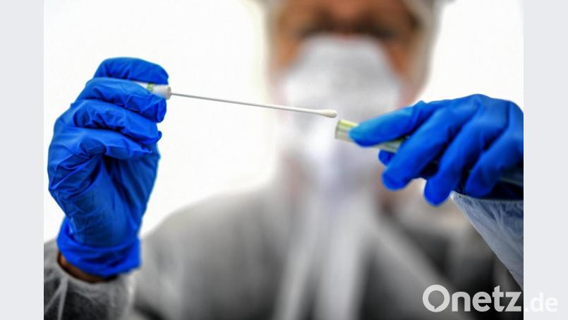 Ein Abstrichstäbchen wird in einer Corona-Test- Einrichtung von einer Angestellten gehalten. Bild: Britta Pedersen/dpa