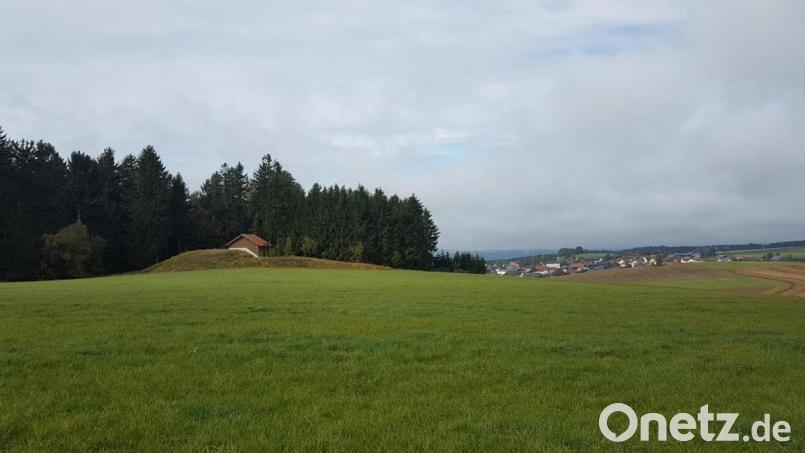 Ein Funkmast in Nähe der Wasseraufbereitung Etzgersrieth an der Kreisstraße nach Wildstein soll für eine bessere Telefonverbindung im Süden von Moosbach sorgen. Bild: gi