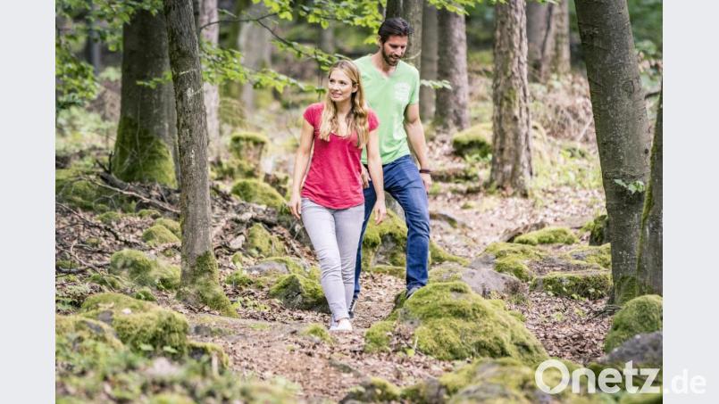 „Waldschnuppern - Einführung ins Waldgesundheitstraining“ ist nur eines der Angebote bei den Tourismustagen Oberpfälzer Wald. Bild: Thomas Kujat, Tourismuszentrum Oberpfälzer Wald/exb