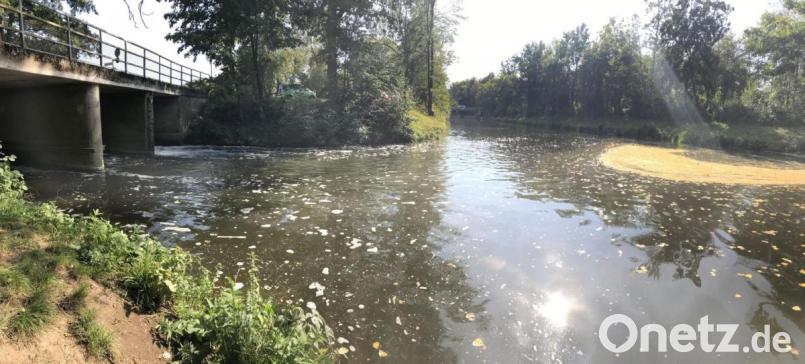 Der Flutkanal kann tückisch sein. Bild: Gabi Schönberger