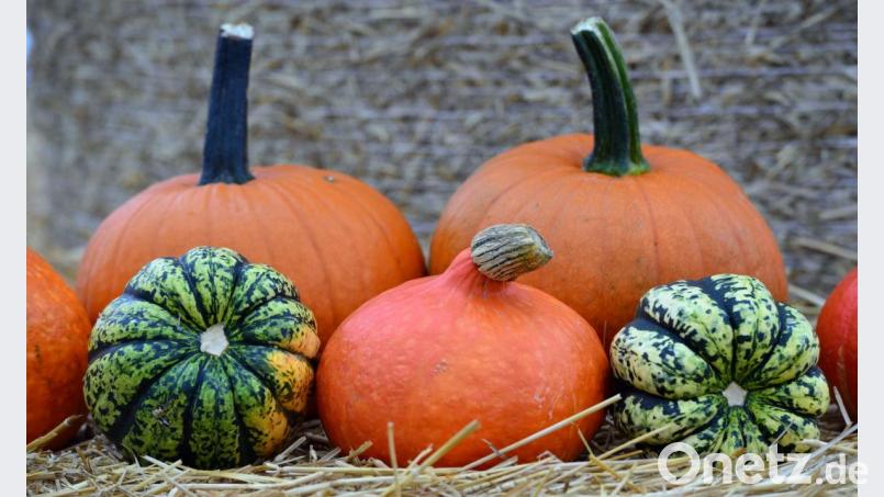 In der Fußgängerzone in Amberg haben am Montag zwei sturzbetrunkene Männer randaliert. Ihre Zerstörungswut richtete sich unter anderem gegen aufgebaute Deko-Kürbisse. Symbolbild: Martin Schutt/dpa
