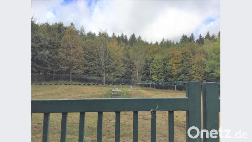 Der „Wald 2000“ heute. Bild: tu