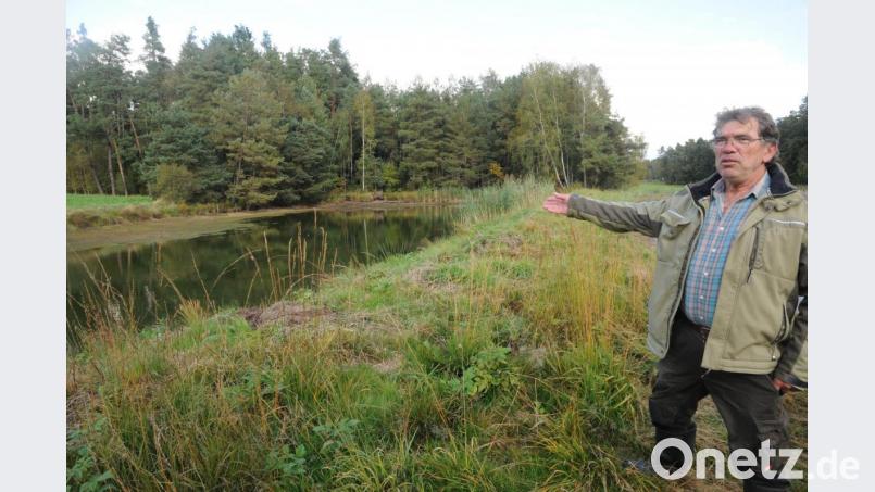 Große Laichkarpfen, ein paar Hechte, Schleien und viele andere Fische waren im Frühjahr noch in diesem kleineren Teich zu finden. Jetzt bilanziert Max Wild: Bestand absolut null, Schaden beträchtlich. Im hohen Gras am Ufer findet sich der vielbegangene Fischotter-Pass. Bild: Joachim Gebhardt