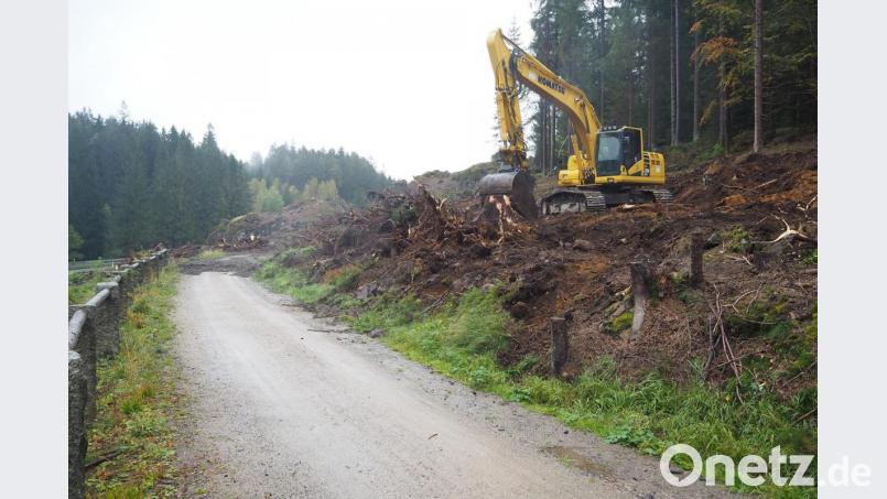 Aktuell sind die Baufahrzeuge auf der Staatsstraße 2159 zwischen Schönsee und Gaisthal noch mit der Beseitigung der Wurzelstöcke beschäftigt, die Rodung ist abgeschlossen. Bild: bl