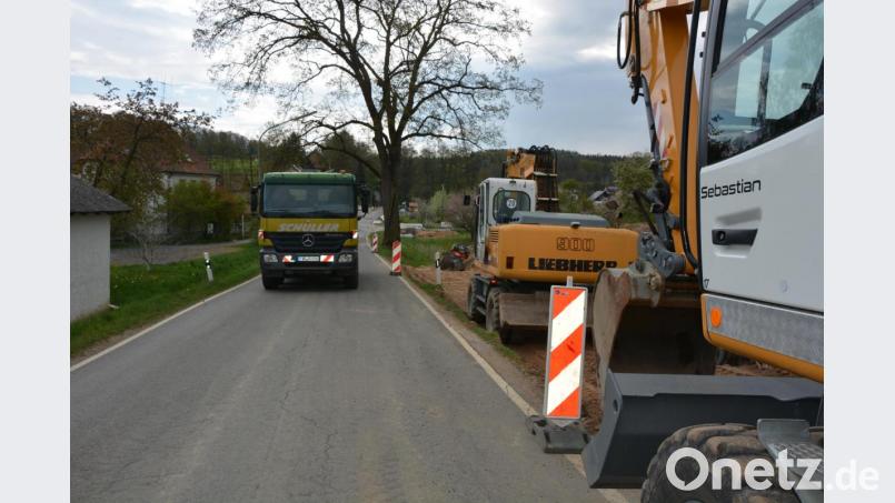 Der Baum an der Ortseinfahrt nach Maiersreuth aus Richtung Waldsassen bildet künftig den Mittelpunkt einer Verkehrsinsel, die die Staatstraße 2175 in diesem Bereich teilt. Bild: jr