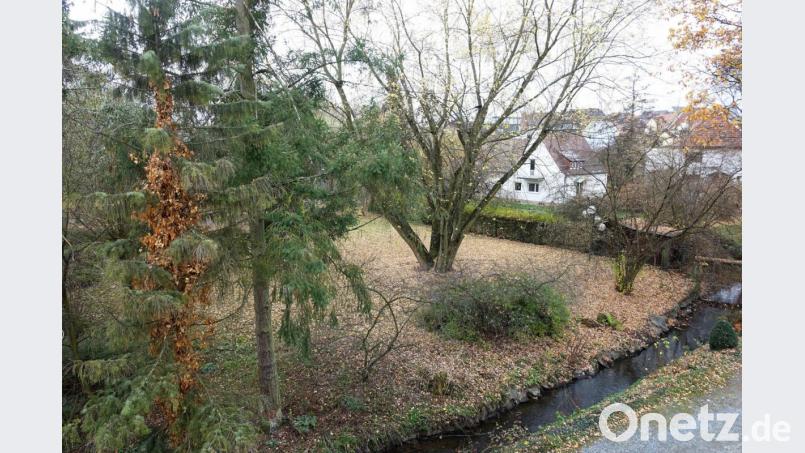 Mit dem Erwerb des benachbarten Lohmer-Anwesens (rechts) hofft der Stadtrat, den Grünzug entlang des Stadtmühlbaches und der Leibnizstraße - trotz der Eingriffe durch den SGW-Zentrale - stärken zu können. Bild: Wieder
