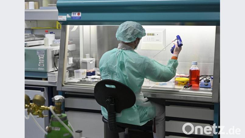 Ein Labor-Mitarbeiter macht Untersuchungen zur Abklärung des Coronavirus. Symbolbild: Hans Punz/APA/dpa