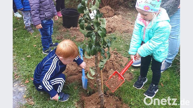 Angeleitet von der Leiterin des Kinderhauses, Karin Krenkel, versuchten sich die Mädchen und Buben als angehende Gärtner, um den Bäumchen ein neues Zuhause zu schenken. Bild: Kinderhaus Premenreuth/ exb