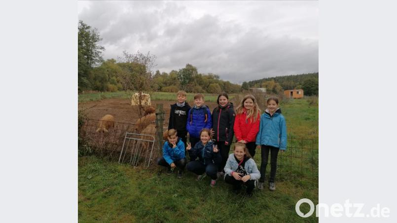 Auch die Kommunionkinder aus Pullenreuth waren von den Tieren begeistert. Bild: twg