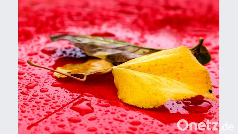 Buntes Herbstlaub liegt auf einem Autodach. Bild: Hösamer