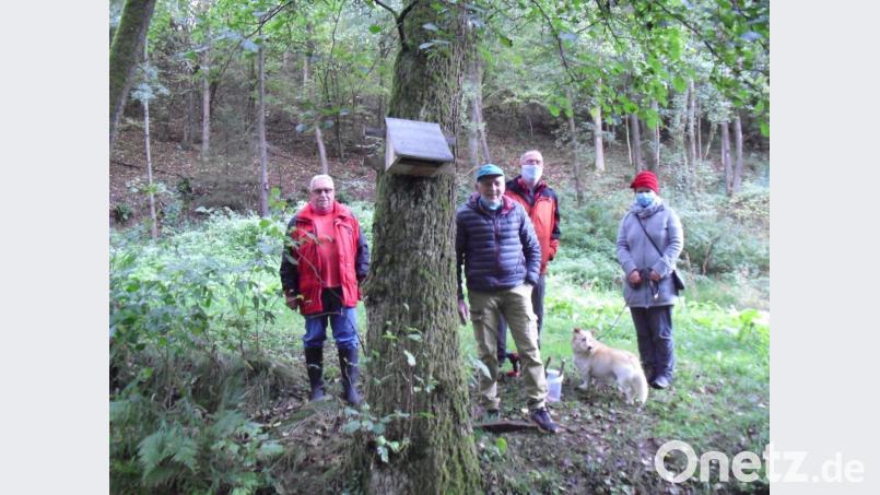 OWV-Vorsitzender Rudi Bäumler, Vogelwart Manfred Witt und Verena Bauer (von links) freuen sich über die drei Nistkästen, die Hans Heinrich (Zweiter von rechts) zur Verfügung stellte. Bild: dip