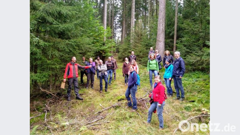 Das Kreis-Landvolk bei der Waldwanderung mit Stadtförster Wolfgang Winter (links) in den Wäldern um Weiden. Bild: fvo
