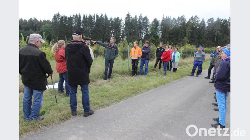 Hermann Hartinger (graue Jacke) deutet auf sein Waldstück und stellt sein Projekt vor. Bild: ral
