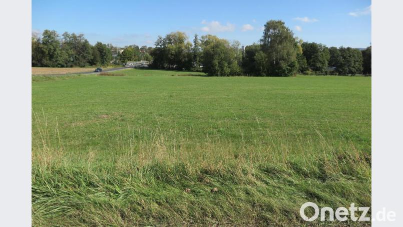 Auf dieser Fläche soll der Neubau der Realschule verwirklicht werden. Bild: jzk