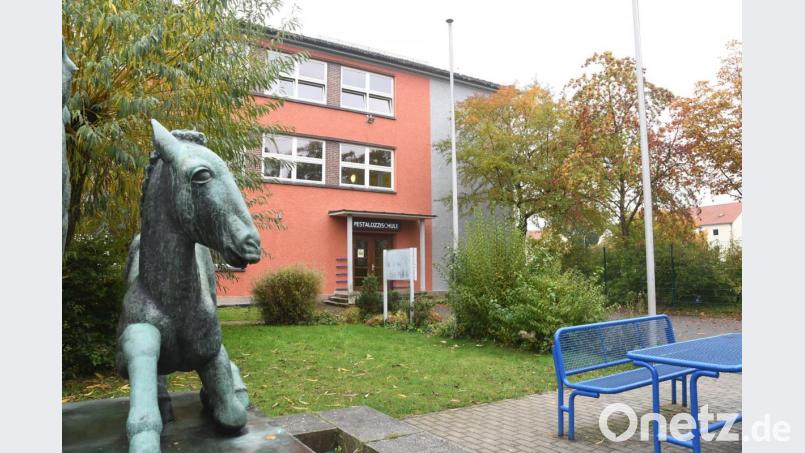 Eineinhalb Jahre vor dem eigentlichen Baubeginn will die Stadt Weiden noch im Herbst und Winter mit der Beseitigung der Bäume beginnen, die der Erweiterung der Pestalozzimittelschule im Wege stehen. Bild: Gabi Schönberger