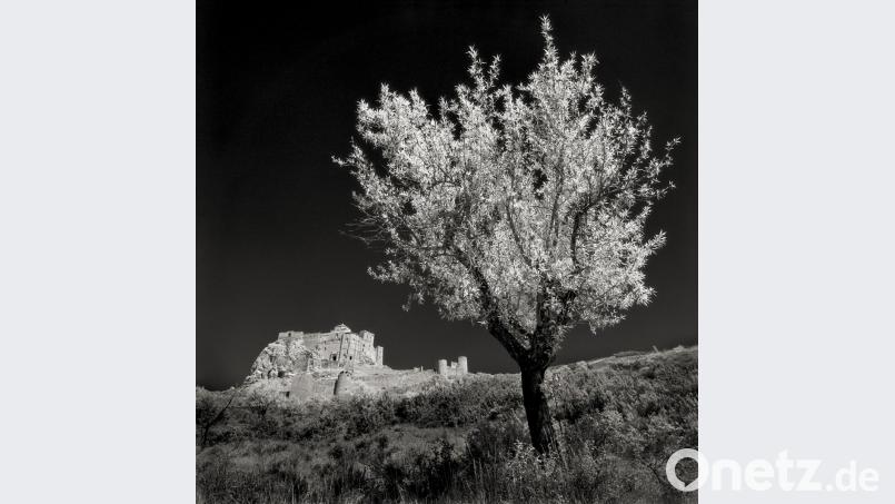 Das Bild ist von Herbert Hanauer. Bild: Herbert Hanauer/exb