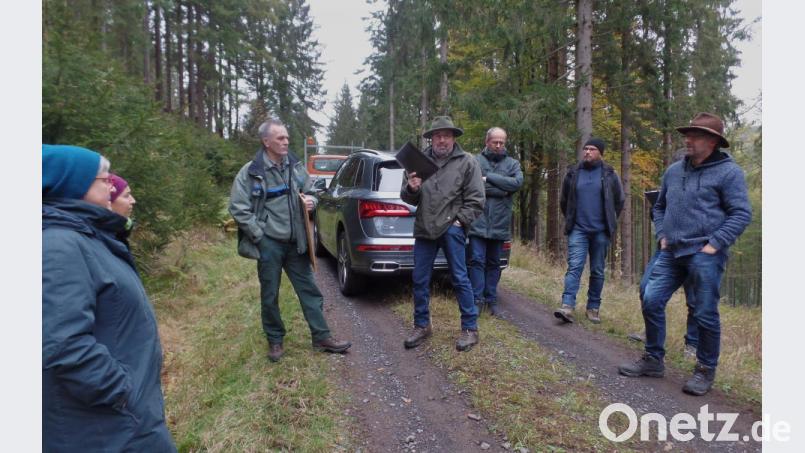 Über die Trockenschäden durch den Borkenkäfer sowie waldbauliche Maßnahmen informierte umfassend Stadtförster Klaus Ferber (Vierter von rechts) die Ausschussmitglieder des Kemnather Stadtrates unter dem Vorsitz von Bürgermeister Roman Schäffler (Dritter von rechts). Forstdirektor Dirk Lüder (Dritter von links) begleitete das Gremium. Bild: br