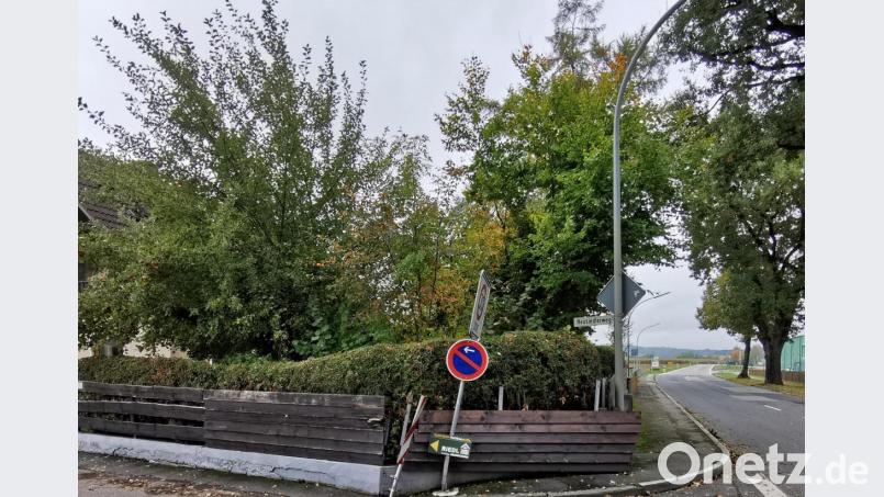 In den vergangenen 18 Jahren wurde der Zaun insgesamt 20 Mal durch einen Lastwagen beschädigt. Bild: gz