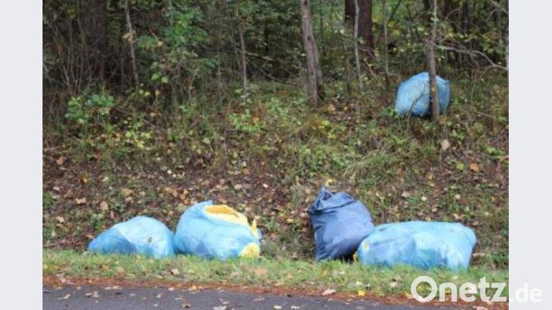Diese Müllsäcke mit Glaswolle haben Unbekannte bei Auerbach im Wald entsorgt. Bild: exb