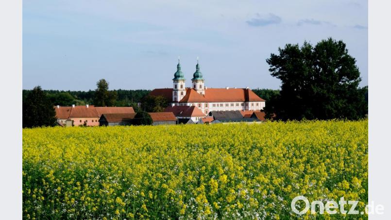 Inmitten frühherbstlicher Farbenpracht erstrahlt das Kloster Speinshart Bild: do