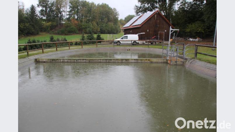 Aus diesen Becken der Kläranlage Pertolzhofen musste der Klärschlamm entsorgt werden. Der Auftrag dafür wurde für knapp 9000 Euro vergeben. Bild: frd