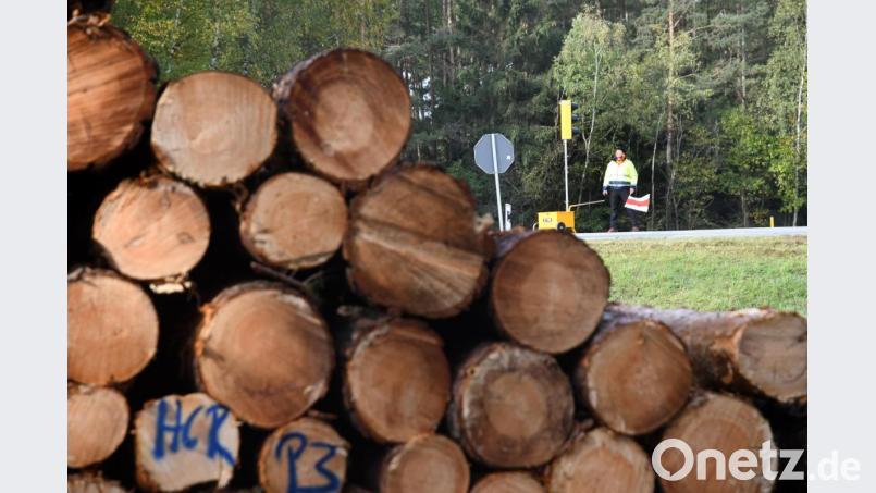 Baumfällarbeiten B470 bei Troschelhammer. Bild: Gabi Schönberger