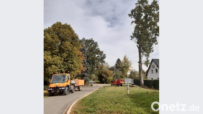 Mit der Fällung der Dorfeiche wurde der Bauhof beauftragt, der am Dienstagvormittag anrückte. Bild: wro