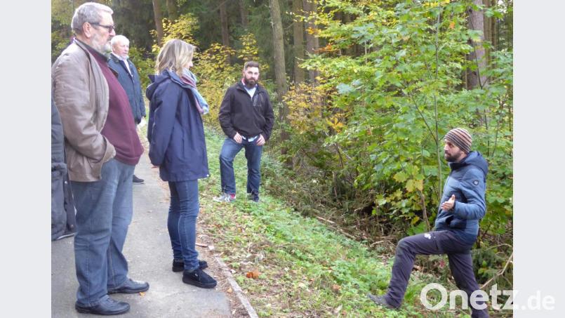 Förster Andreas Arnold (rechts) erläutert Bürgermeister Sebastian Dippold (Mitte) und dem Bauausschuss die Maßnahme im Stadtwald. Bild: fsb
