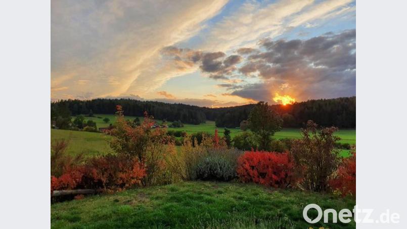 Sonnenaufgang bei Eschenfelden Bild: Regina Frommert