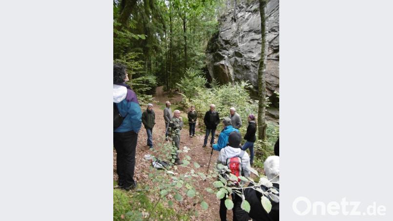 Beim Steinbruch am Mühlberg staunte man über die &quot;aufgefaltete&quot; Wand, aus der die &quot;besten Mühlsteine&quot; gehauen wurden. Bild: mma