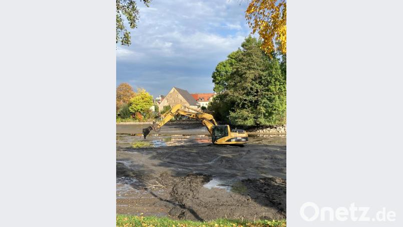 Bagger-Arbeiten werden derzeit im Kemnather Stadtweiher ausgeführt Bild: stg