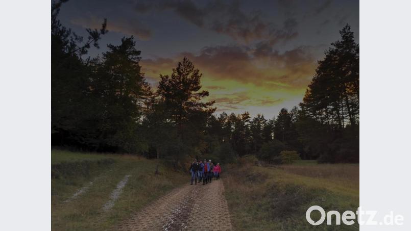 Auf ihrer Weinwanderung genossen die Mitglieder des Sportklubs Fürnried herbstliche Stimmungen im Licht der untergehenden Sonne. Bild: exb