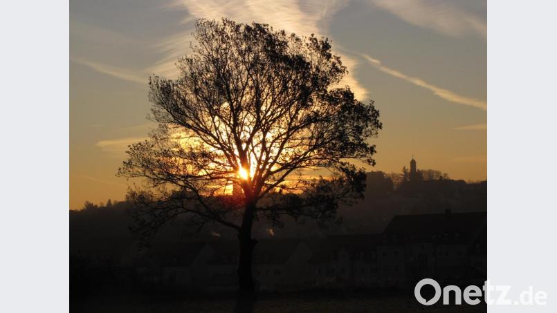 Allerheiligen wird in diesem Jahr noch stiller ablaufen als sonst. Der Gräbergang dürfte aber wie in jedem Jahr dazugehören. Bild: dob