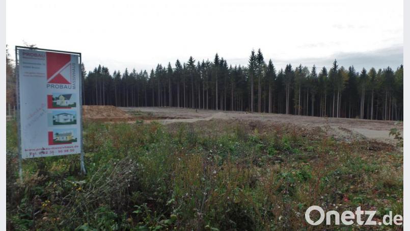 Für das Baugebiet „Neusorg-West“ an der Eichendorffstraße gegenüber dem Friedhof wurde der Bebauungsplans überarbeitet. Die Stellungnahmen von Trägern öffentlicher Belange liegen vor. Nun erfolgt eine erneute Beteiligung „berührter“ Behörden. . Bild: br