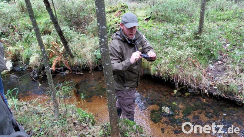 Rund 60 Jahre alt ist die Flussperlmuschel, die Ranger Jonas Ständer dem Grenzbach zur Besichtigung entnommen hat und in der Hand hält. Wenn alles optimal läuft, kann sie bis zu 130 Jahre erreichen. Ihre Nahrung besteht aus abgestorbenen Pflanzenteilen und Bakterien. Bild: bsc