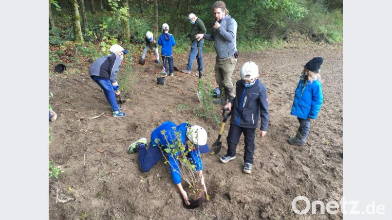 Die Jugendgruppe des LBV ist motiviert. Die Erwachsenen sind als Handlanger dabei. Bild: ihl