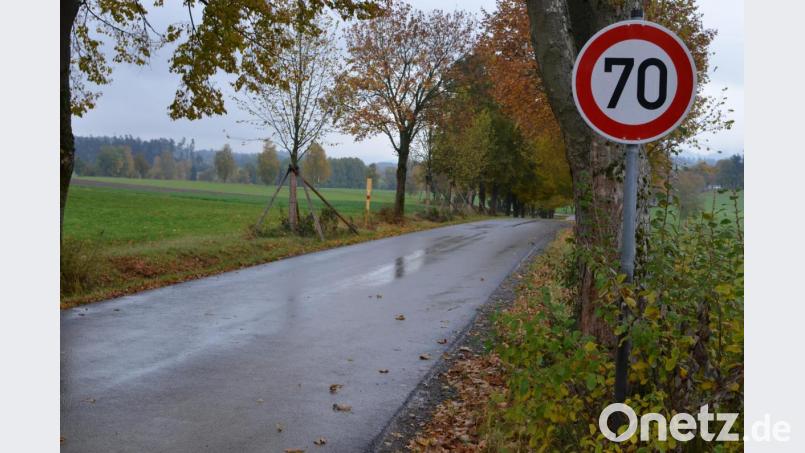 In der Allee an der Steinigen Gasse sind nun 70 Kilometer pro Stunde erlaubt. Bisher galt dort eine Geschwindigkeitsbegrenzung von 30 Kilometern pro Stunde. Bild: Benkhardt
