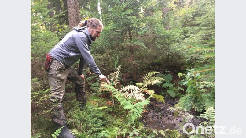 Bernhard Gohlke deutet auf einen Quellaustritt hin. Der gesamte Wasserlauf wird aber verbessert. Bild: ihl