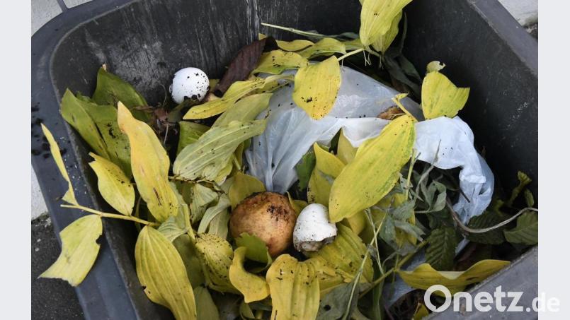 Eine nicht unbeträchtliche Menge Plastik landet seit einiger Zeit im Amberger Biomüll, berichtet Matthias Seuffert vom städtischen Umweltreferat. Bild: Petra Hartl