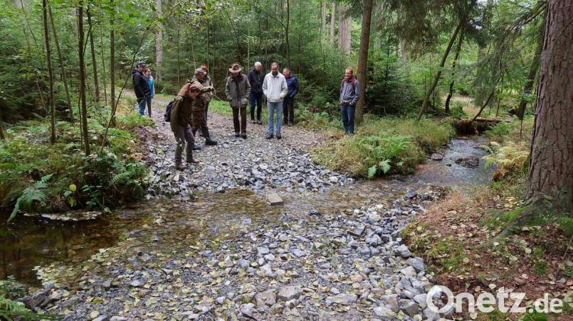 Überfahrten und Furten entlang des Grenzbachs wurden auch für Fische durch den Naturpark Steinwald passierbar gemacht. Zur Verhinderung von Feinschlammeinträgen wurden querende Waldwege befestigt. Bild: bsc