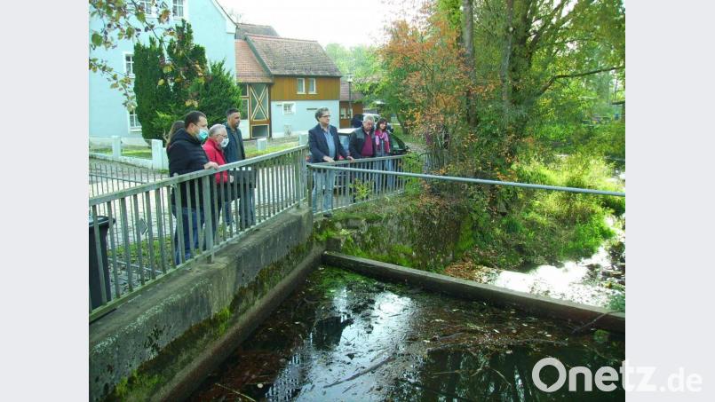 Von der Sanierungsbedürftigkeit des Mühlbachs zwischen &quot;Wasserkante&quot; (Bild) und früherer Badeanstalt machte sich der Bauausschuss bei einem Ortstermin ein Bild. Bild: bjp