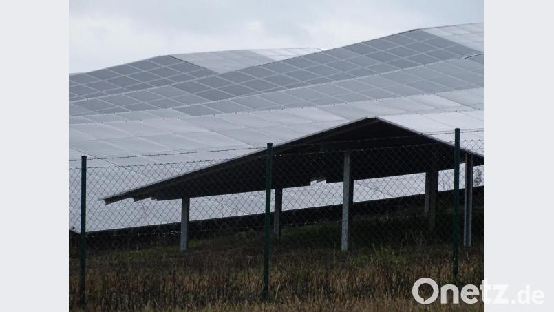 Wie ein Gebirge wölben sich die Solarmodule, lassen Leben von Fauna und Flora darunter kaum zu: Das ist einer der Gründe, warum der Gemeinderat eine Erweiterung eine Erweiterung der Anlage auf einer Anhöhe bei Wolfring ablehnt. Bild: Houschka