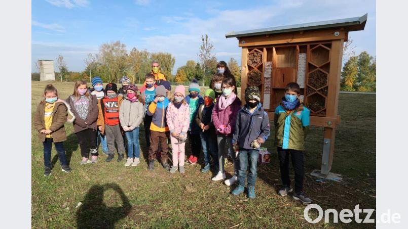 Das Bild zeigt die 3. Klasse der Grundschule Plößberg mit ihrer Klassenlehrerin Ulrike Remold und Hausmeister Toni Müller. Bild: Grundschule Plößberg/exb