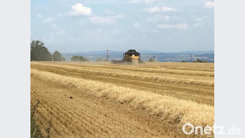 Hunderte Landwirte aus der Oberpfalz bestellen riesige Agrarflächen in Westböhmen. Die Finanzierung dieser Aufkäufe erfolgt in der Regel durch die VR Nordoberpfalz. Bild: Volksbank Raiffeisenbank Nordoberpfalz