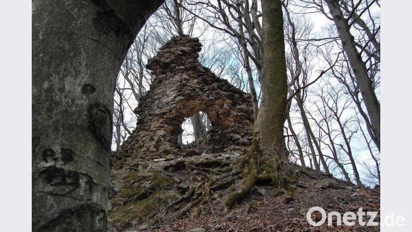 Steinernes Relikt einer wechselvollen Geschichte: Von der einstigen Burganlage auf dem Frauenstein bei Weiding sind nur noch wenige Mauerreste und Teile eines Torbogens erhalten. Eine Wanderung zum Gipfel dauert etwa eine Stunde. Bild: akp