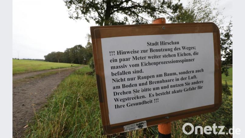 Keine richtige Sperrung, aber ein Warnhinweis der Stadt Hirschau wegen des Eichenprozessionsspinners, verbunden mit dem Appell: &quot;Drehen Sie bitte um und nutzen Sie andere Wegstrecken&quot;. Das, sagt Uwe Bergmann, reicht nicht. Bild: Wolfgang Steinbacher