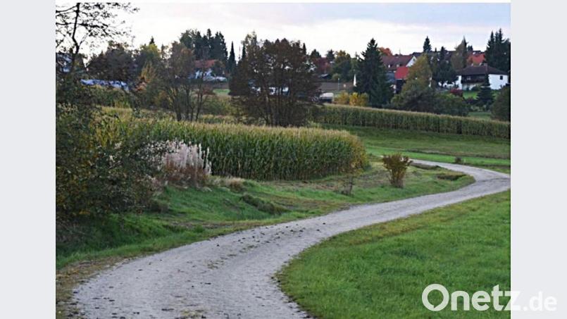 Ein ortsnaher Weg für alle Generationen soll der Erfahrungspfad werden. Er soll informieren und Bewusstsein schaffen für die Bedeutung einer gesunden Umwelt. Bild: ld