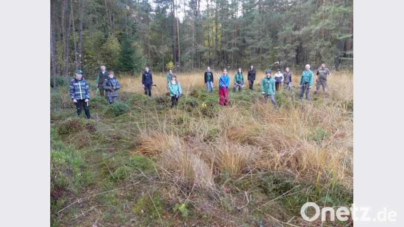 Die Waldjugend Eschenbach trifft sich am Fußweiher zur Naturpflege. Bild: rn
